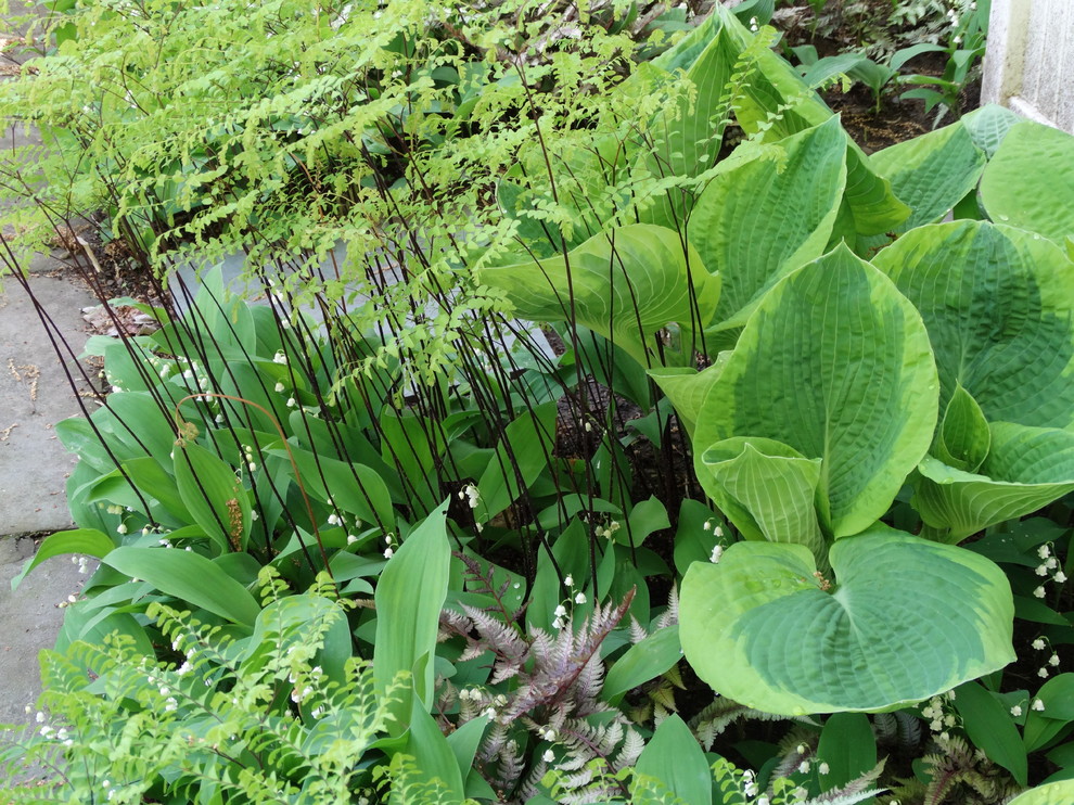 Exempel på en liten klassisk bakgård i skuggan som tål torka på våren, med en trädgårdsgång och naturstensplattor