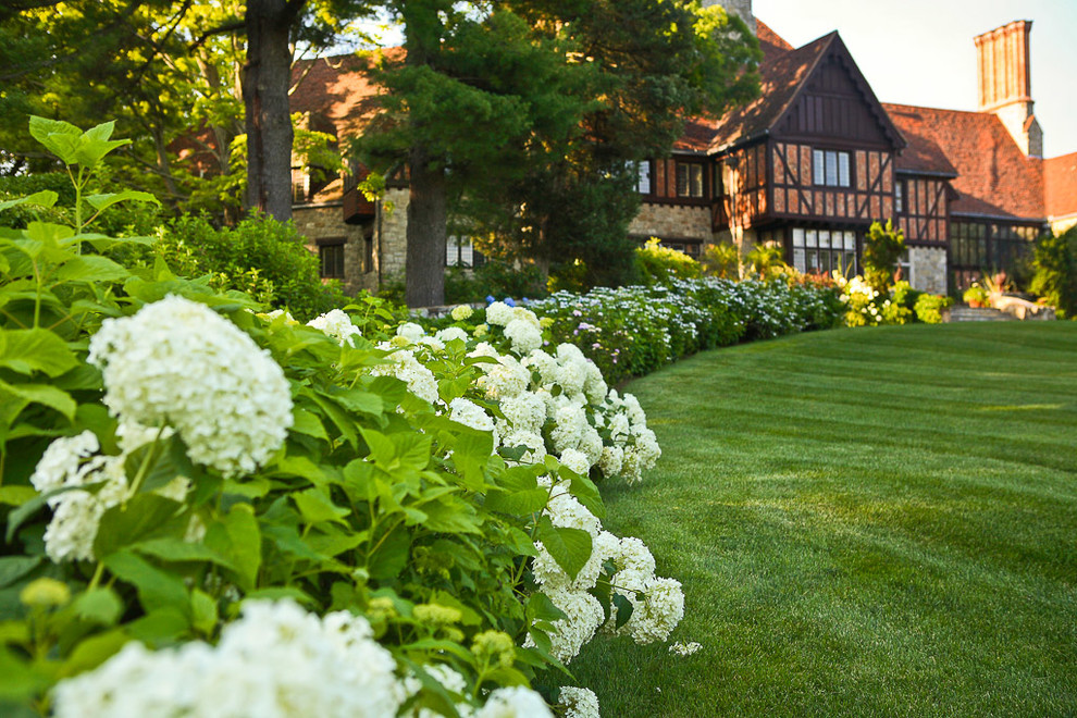 Immagine di un giardino classico dietro casa in estate
