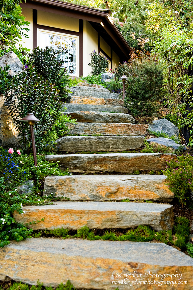 This is an example of a large traditional backyard landscaping in Los Angeles.