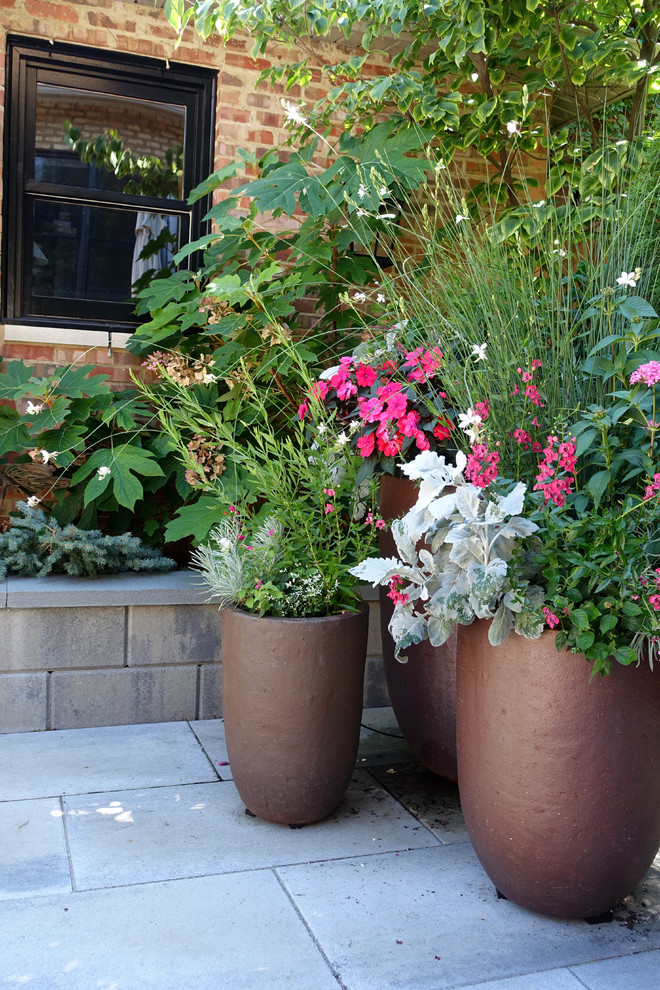 Esempio di un giardino formale chic esposto in pieno sole di medie dimensioni e dietro casa in estate con un giardino in vaso e pavimentazioni in pietra naturale
