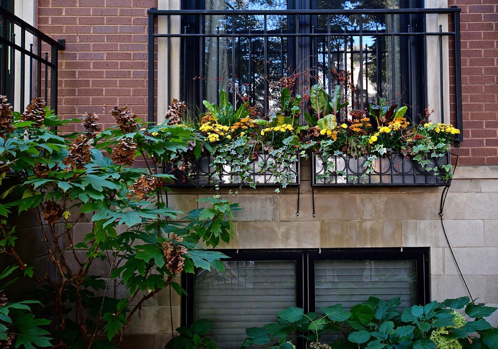 Modelo de jardín clásico de tamaño medio en otoño en patio trasero con jardín de macetas y exposición total al sol
