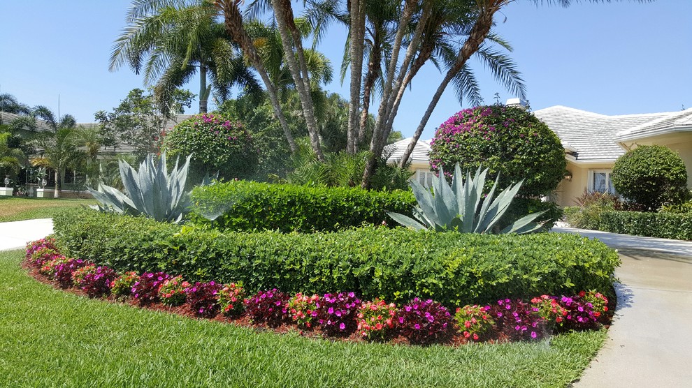 This is an example of a large world-inspired front driveway full sun garden for summer in Miami with mulch.