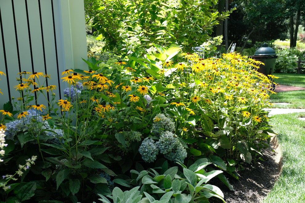 Mittelgroßer Klassischer Gartenweg hinter dem Haus, im Sommer mit direkter Sonneneinstrahlung und Pflastersteinen in Boston