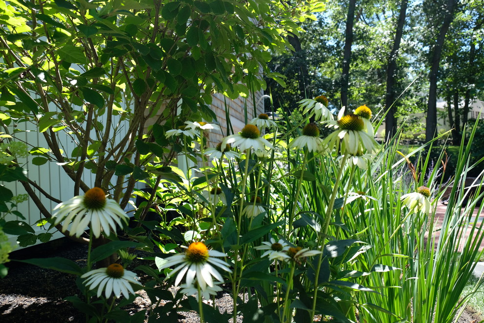 Inspiration för en mellanstor vintage bakgård i full sol som tål torka på sommaren, med en trädgårdsgång och marksten i tegel