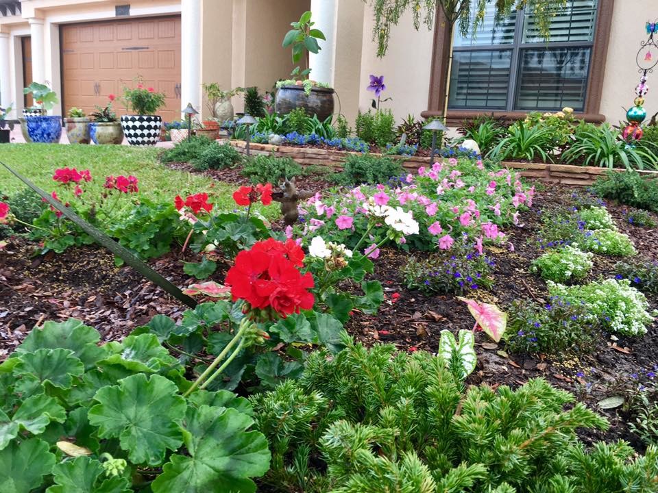 Tralee Bay Estates Landscape Traditional Landscape Orlando by