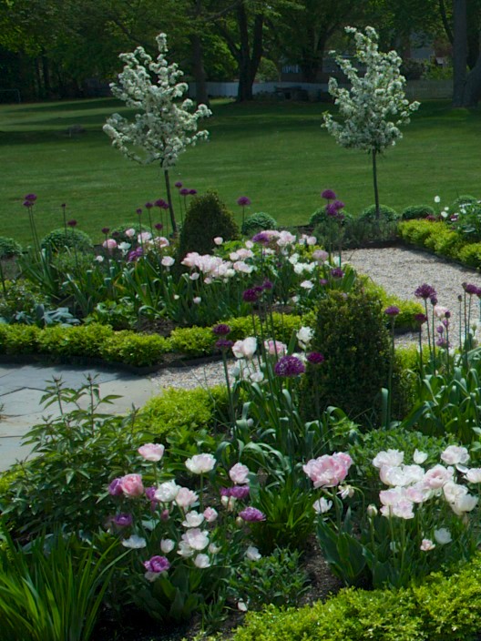 Foto di un piccolo giardino formale classico dietro casa in primavera con ghiaia