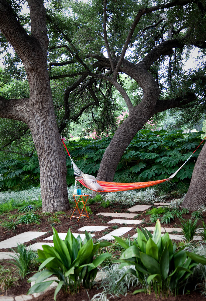 Inspiration for a contemporary drought-tolerant backyard landscaping in Austin.