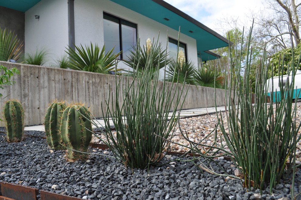 This is an example of a mid-sized contemporary drought-tolerant and full sun front yard gravel landscaping in Austin.