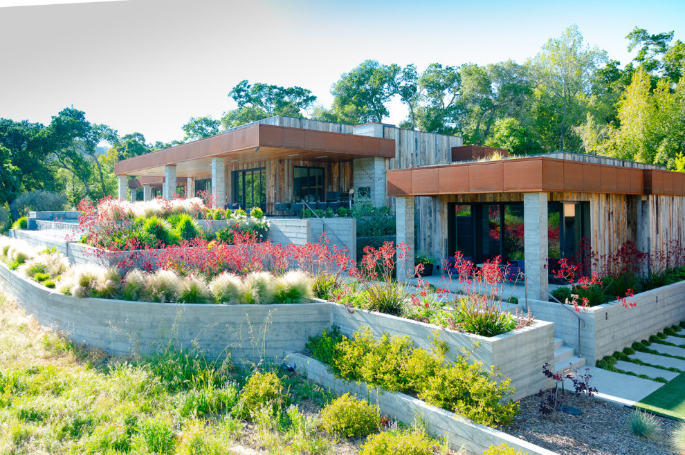 Landscape and Texture - Contemporary - Landscape - Other - by PLACE