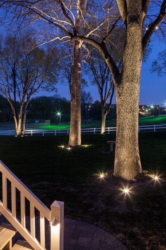 Garden tree uplighters Clearance