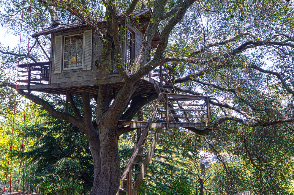 Design ideas for a rustic outdoor playset in San Francisco.