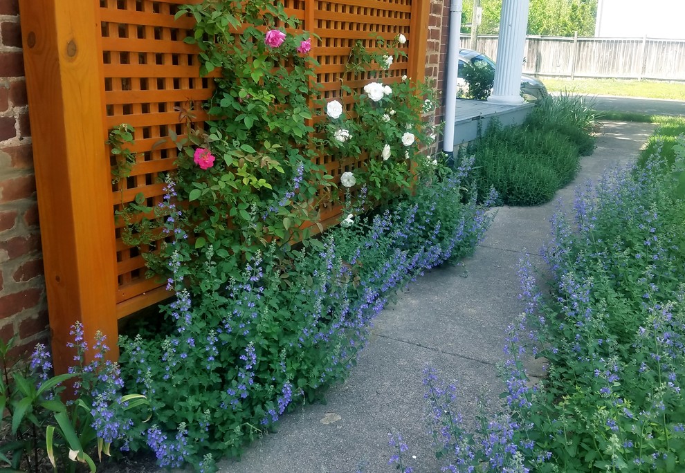 Photo of a front partial sun garden for spring in Richmond.