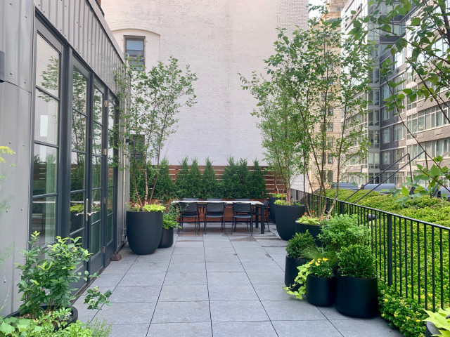 Tribeca Rooftop Garden I Contemporary Garden New York By