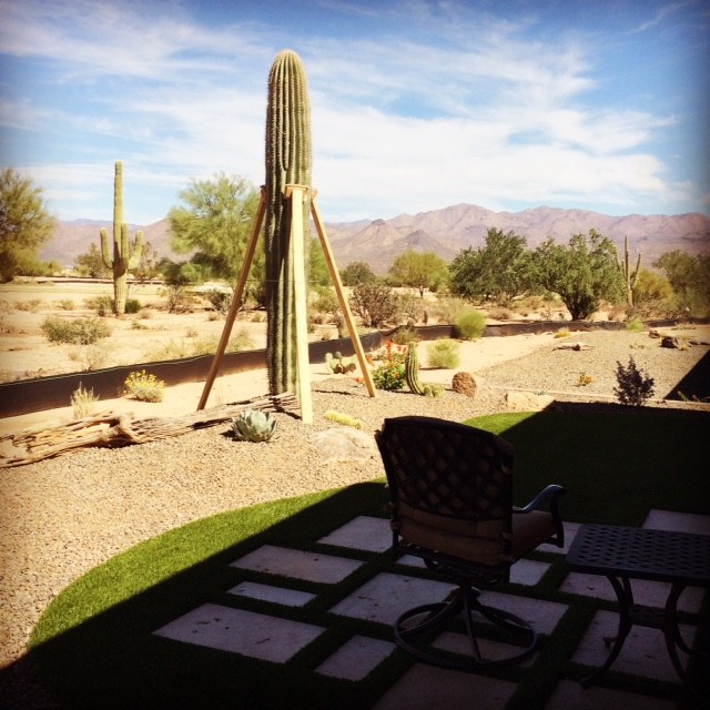 Mediterraner Garten hinter dem Haus mit direkter Sonneneinstrahlung und Natursteinplatten in Phoenix