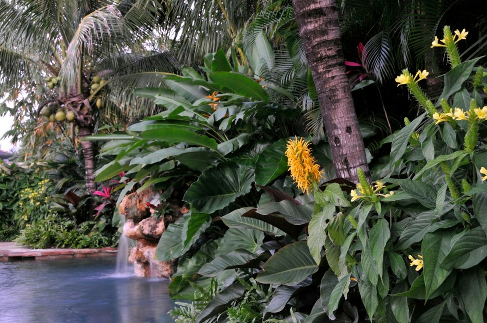 Idee per un giardino tropicale
