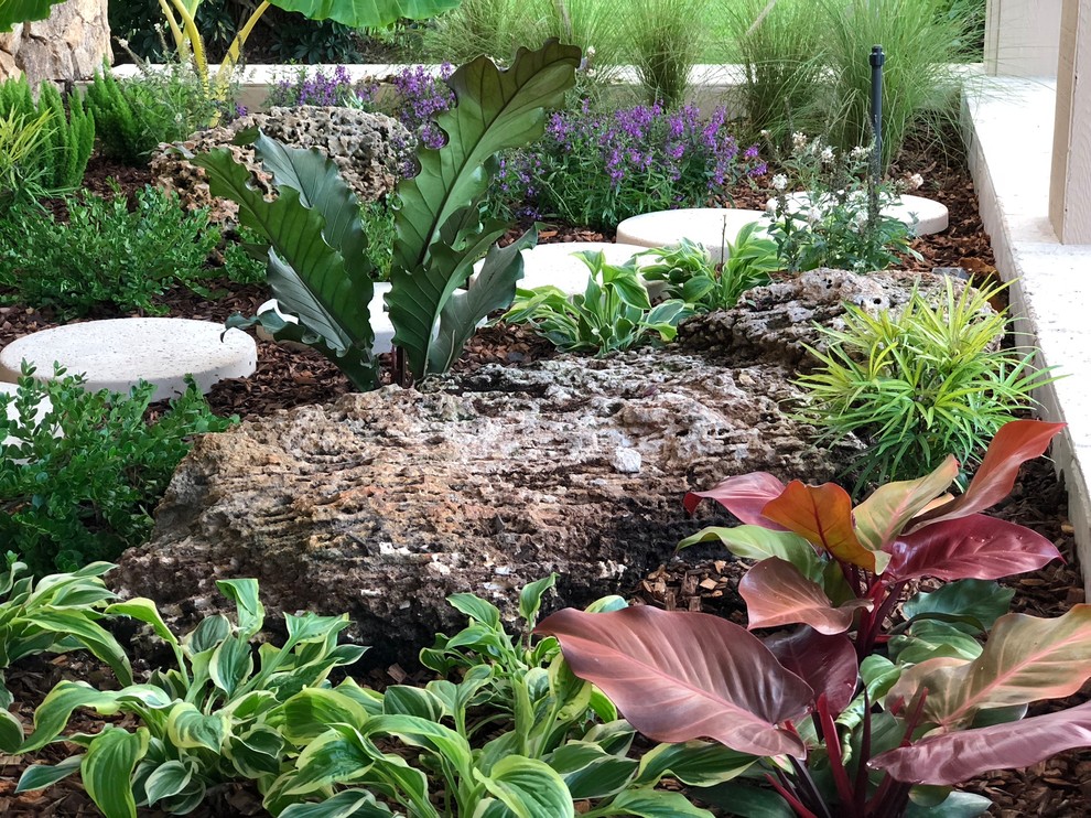 Design ideas for a small world-inspired front full sun garden for winter in Miami with a garden path and concrete paving.