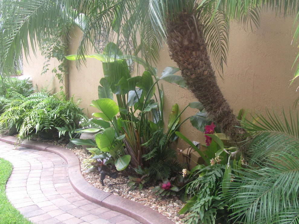 Tropical Florida Landscape, Tropical Landscape Plants Florida