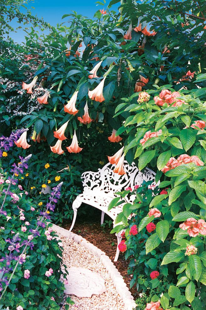 Источник вдохновения для домашнего уюта: участок и сад на заднем дворе в морском стиле с полуденной тенью