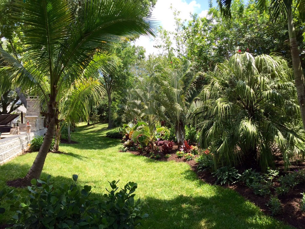 Exemple d'un jardin arrière exotique de taille moyenne avec une exposition partiellement ombragée et des pavés en brique.