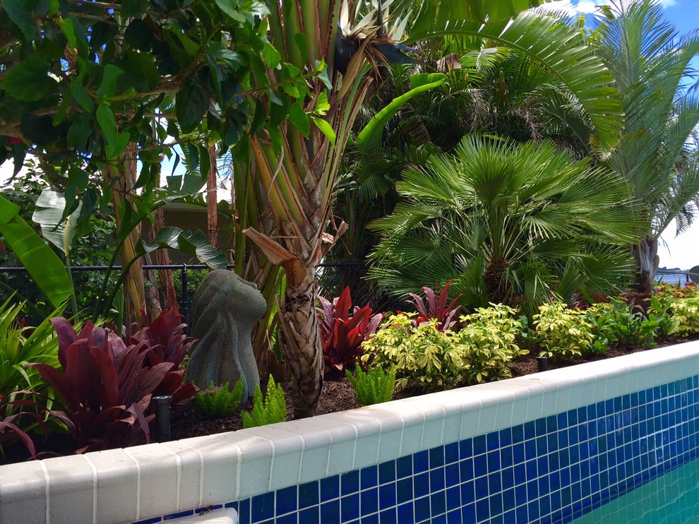 Idee per un grande giardino formale tropicale esposto in pieno sole dietro casa con un ingresso o sentiero e pavimentazioni in mattoni