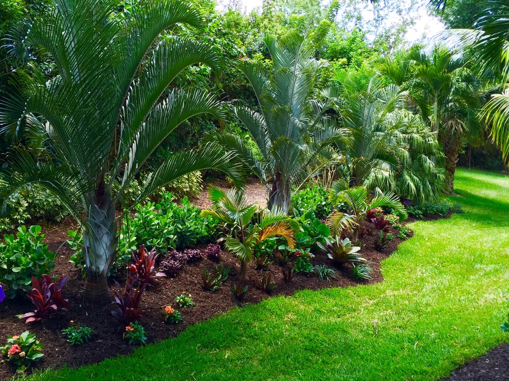 Tropical Front Backyard Landscapes Palms Color Tropical Landscape Orlando By Construction Landscape Llc Houzz