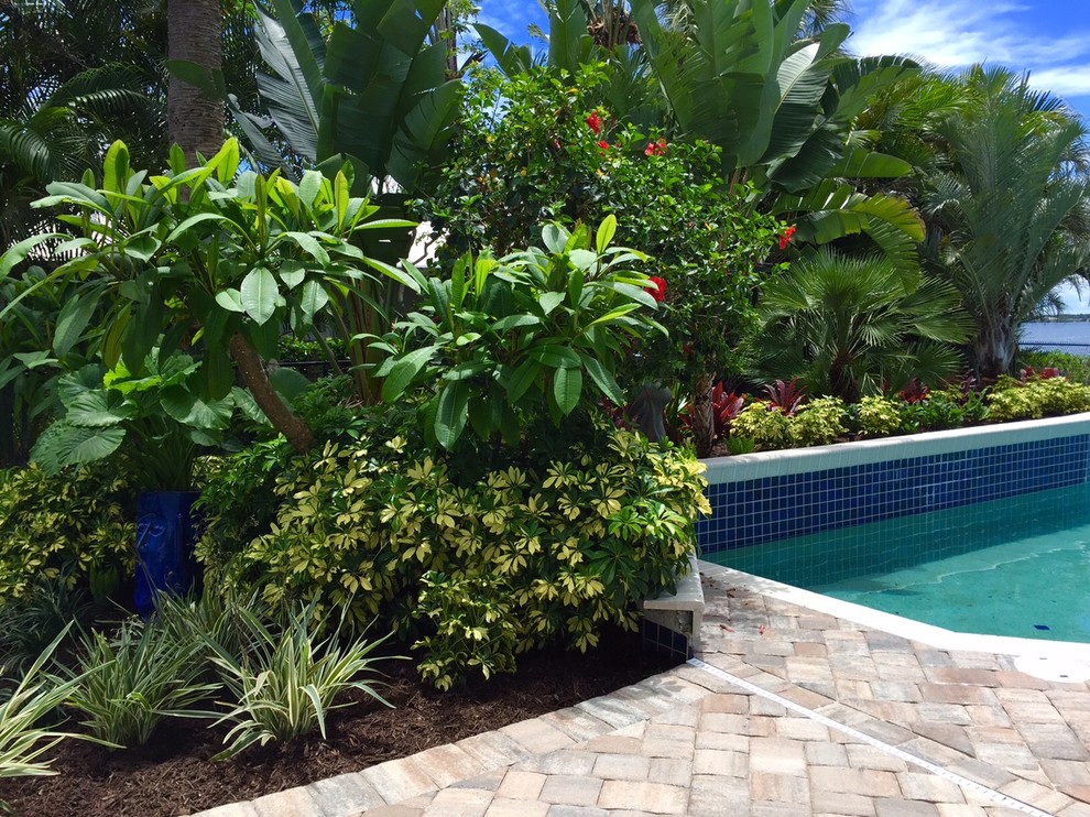 Идея дизайна: солнечный регулярный сад среднего размера на заднем дворе в морском стиле с садовой дорожкой или калиткой, хорошей освещенностью и мощением клинкерной брусчаткой