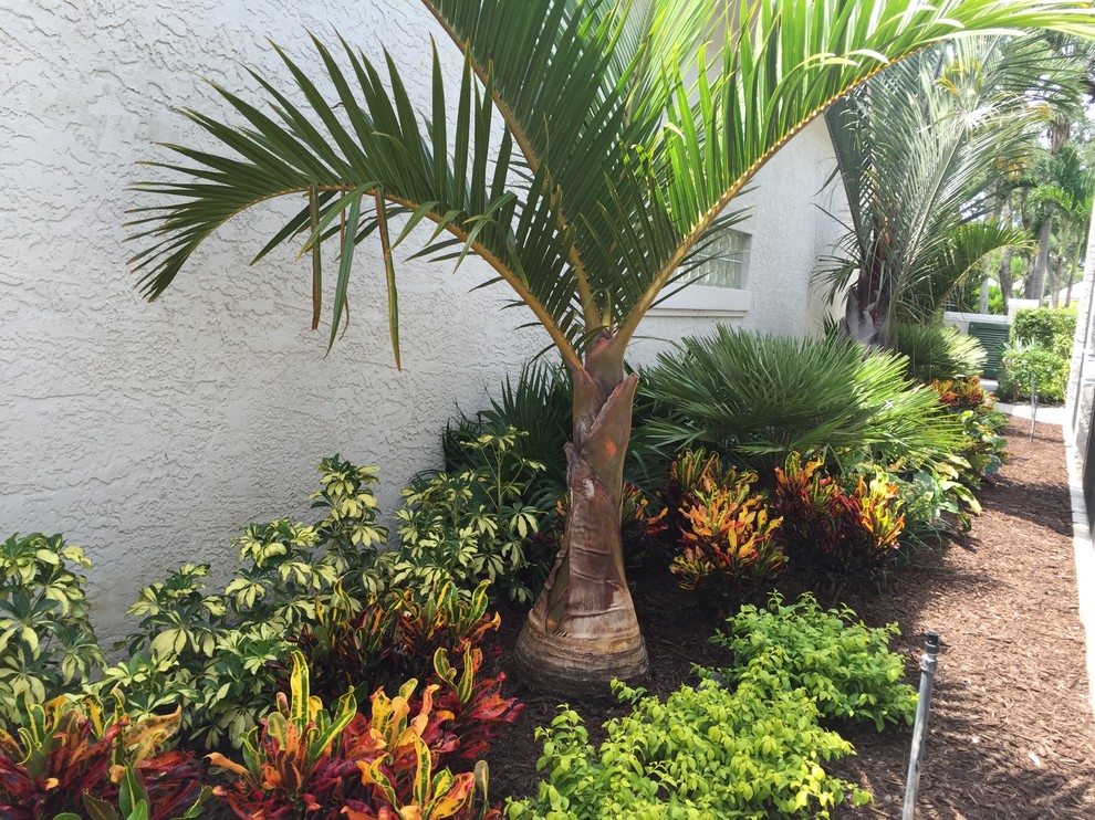 Esempio di un grande giardino formale tropicale esposto in pieno sole dietro casa con un ingresso o sentiero e pavimentazioni in mattoni