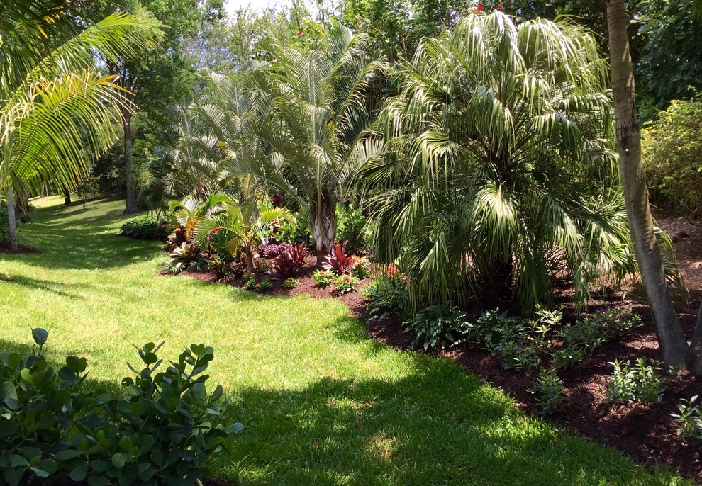Bild på en stor tropisk trädgård i delvis sol, med en trädgårdsgång och marksten i tegel