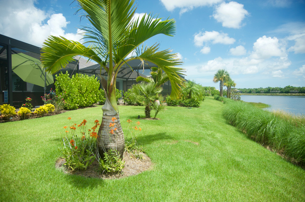 Immagine di un giardino tropicale esposto in pieno sole dietro casa
