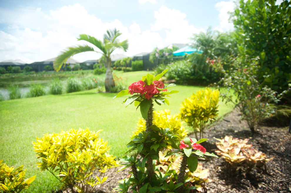 Foto di un giardino tropicale esposto in pieno sole dietro casa