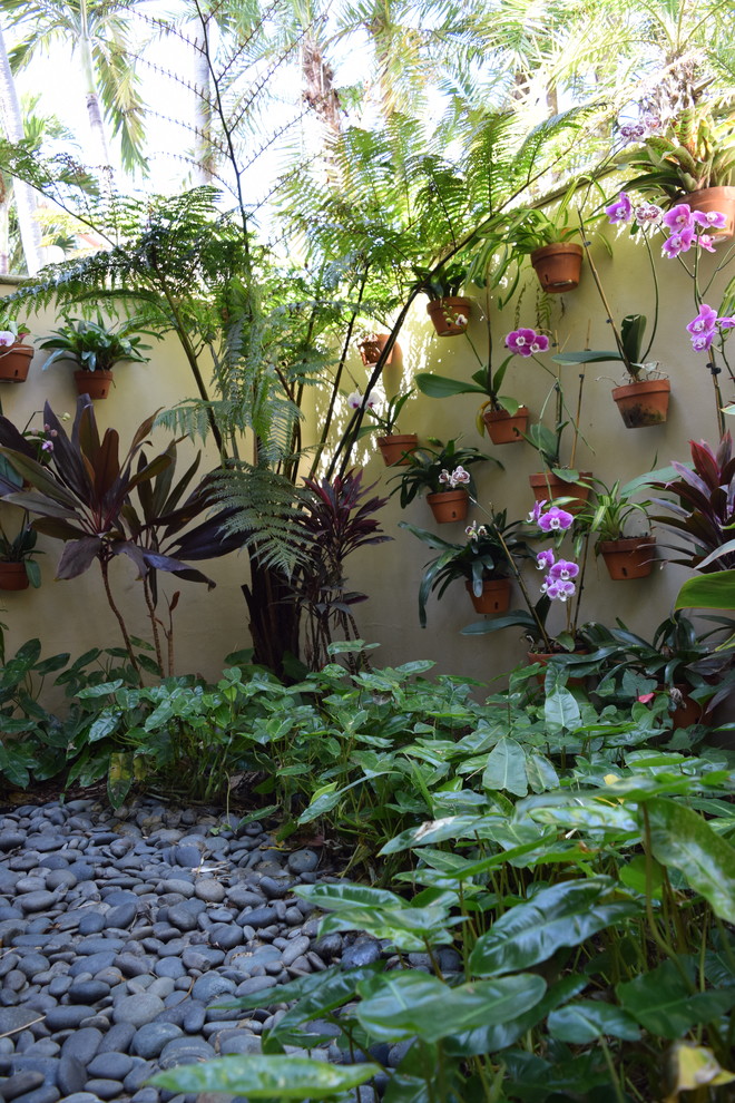 This is an example of a world-inspired garden in Miami.