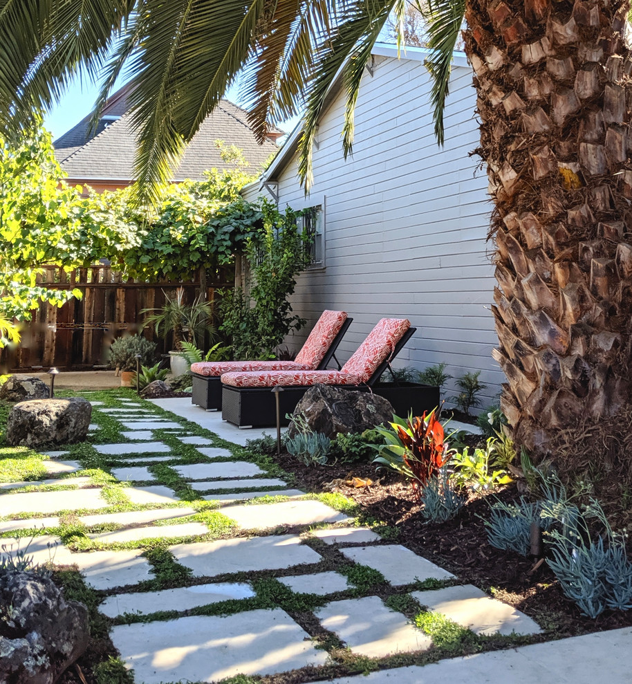 Пример оригинального дизайна: летний засухоустойчивый сад среднего размера на заднем дворе в современном стиле с камнем в ландшафтном дизайне, полуденной тенью и мощением тротуарной плиткой