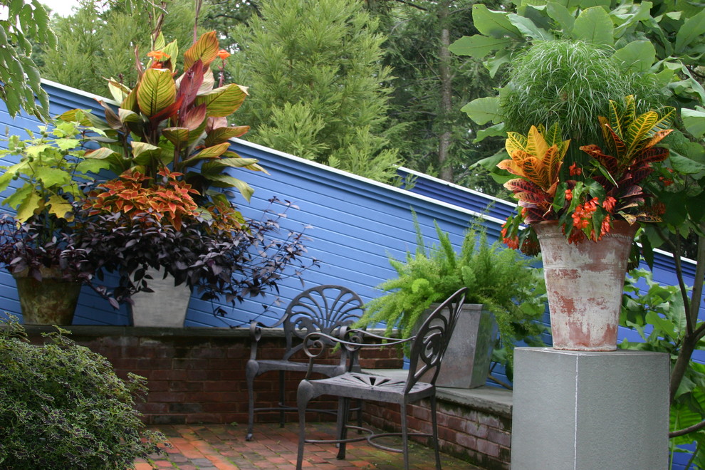 Photo of a tropical landscaping in Seattle.