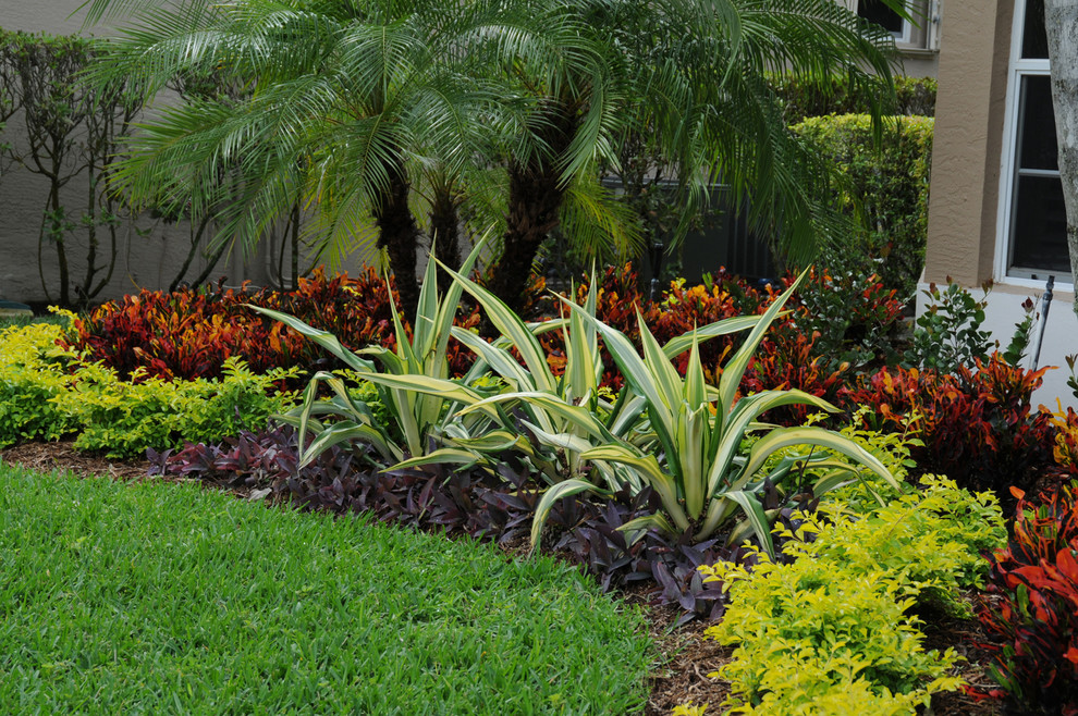 Photo of a tropical front yard landscaping in Miami.