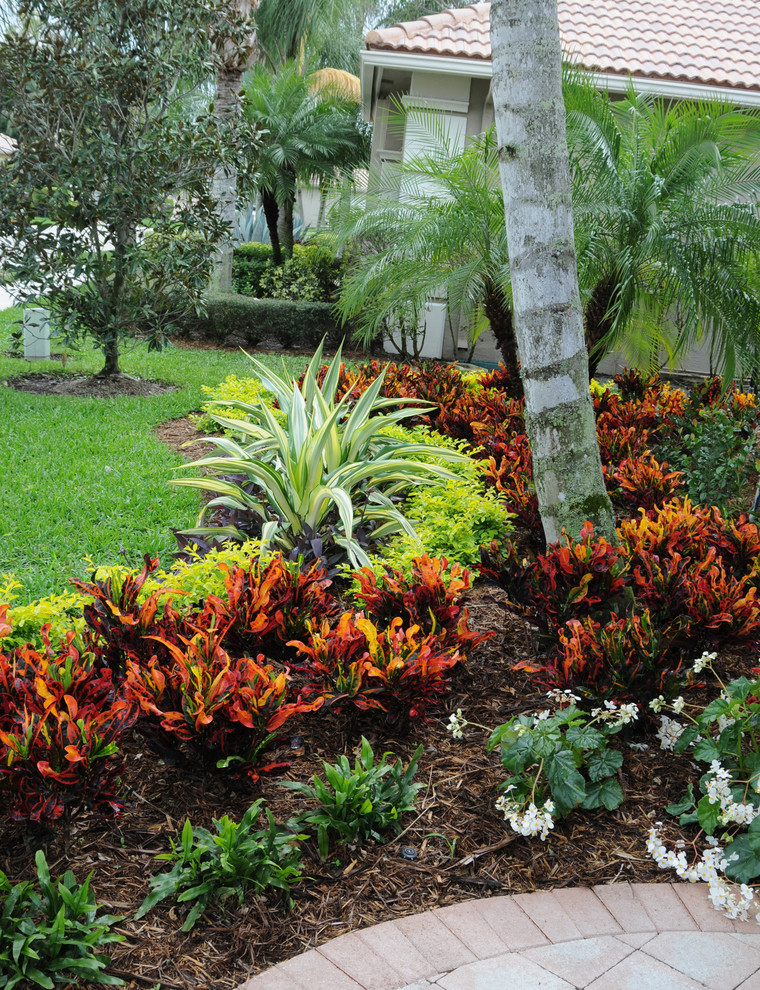 Tropical Landscape Miami, Crawford Landscaping Naples Fl
