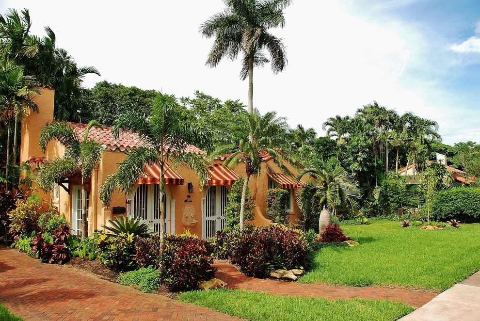 Idéer för att renovera en tropisk trädgård