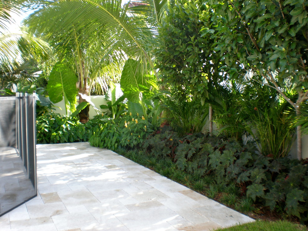 Photo of a world-inspired garden in Miami.