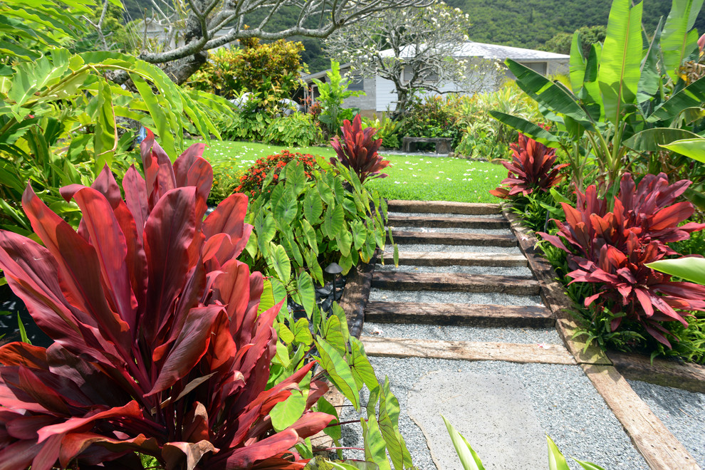 Immagine di un giardino formale tropicale esposto in pieno sole di medie dimensioni e dietro casa in estate con un ingresso o sentiero e ghiaia