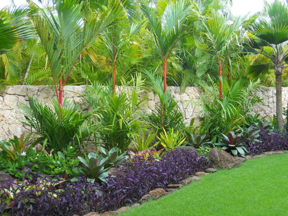 Foto på en tropisk trädgård
