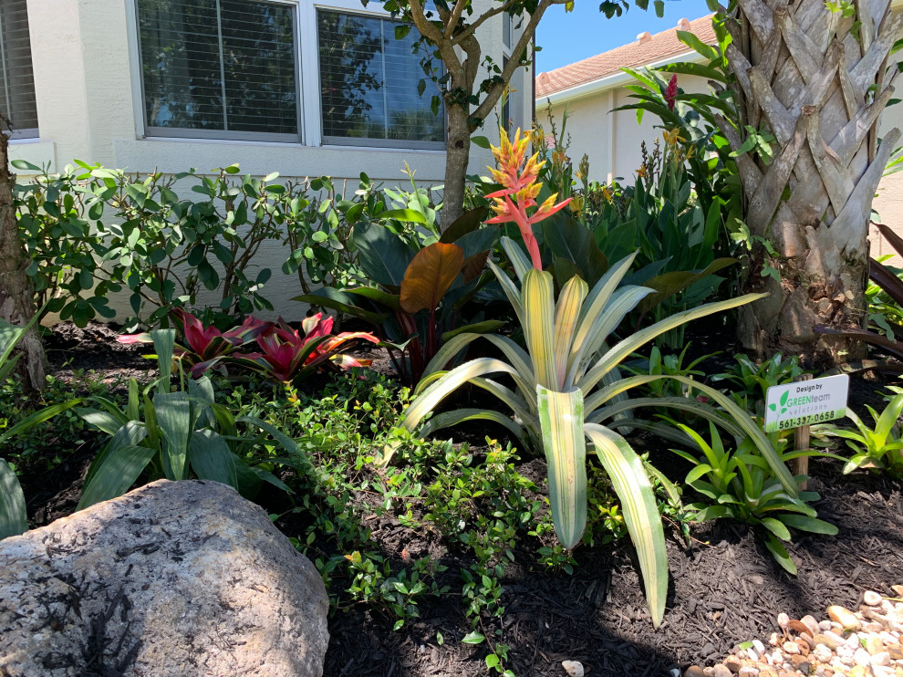 Foto de jardín de secano tropical pequeño en patio delantero con parterre de flores, exposición parcial al sol y piedra decorativa