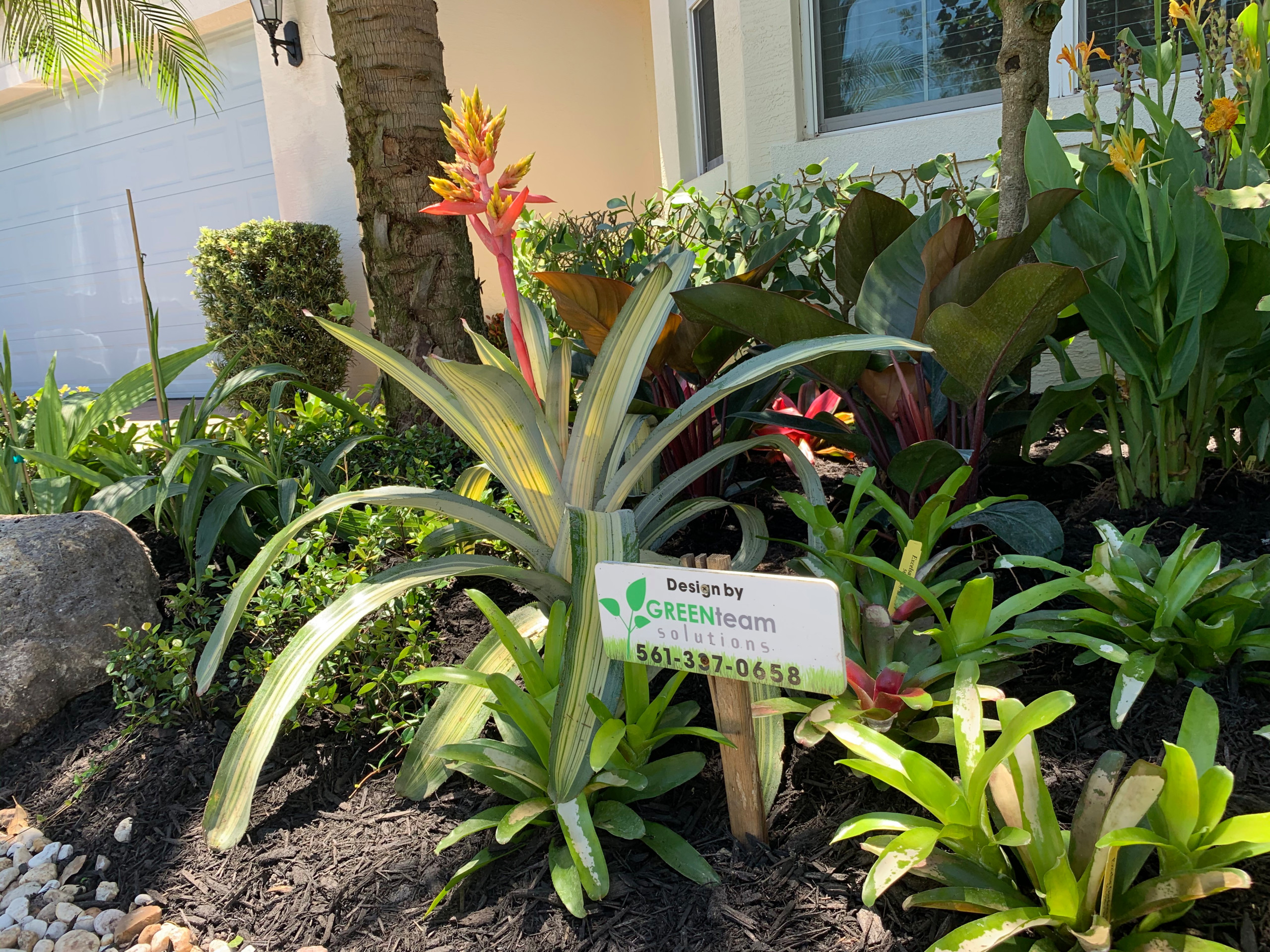 75 Beautiful Tropical Flower Bed Pictures Ideas July 2021 Houzz