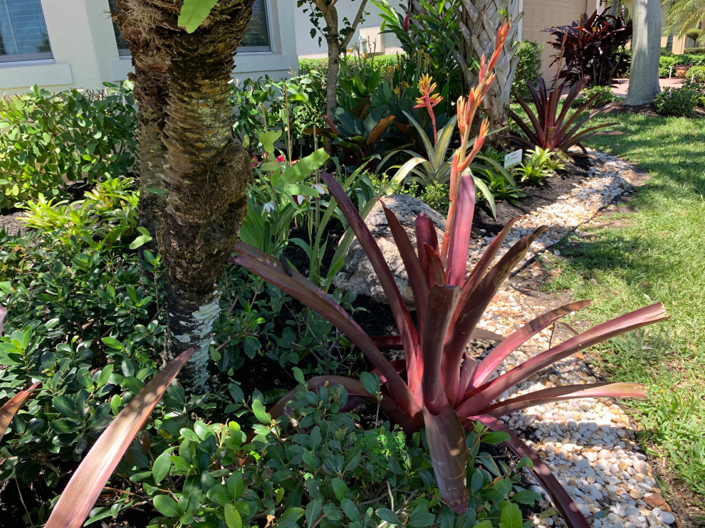 Idéer för att renovera en liten tropisk trädgård i delvis sol som tål torka, blomsterrabatt, framför huset och flodsten