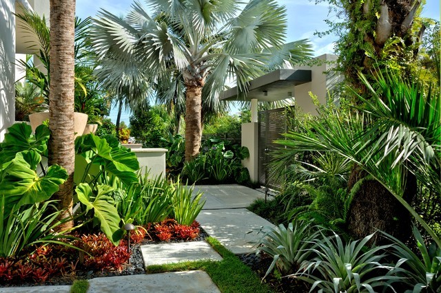 Photo of a mid-sized tropical courtyard stone garden path in Miami.
