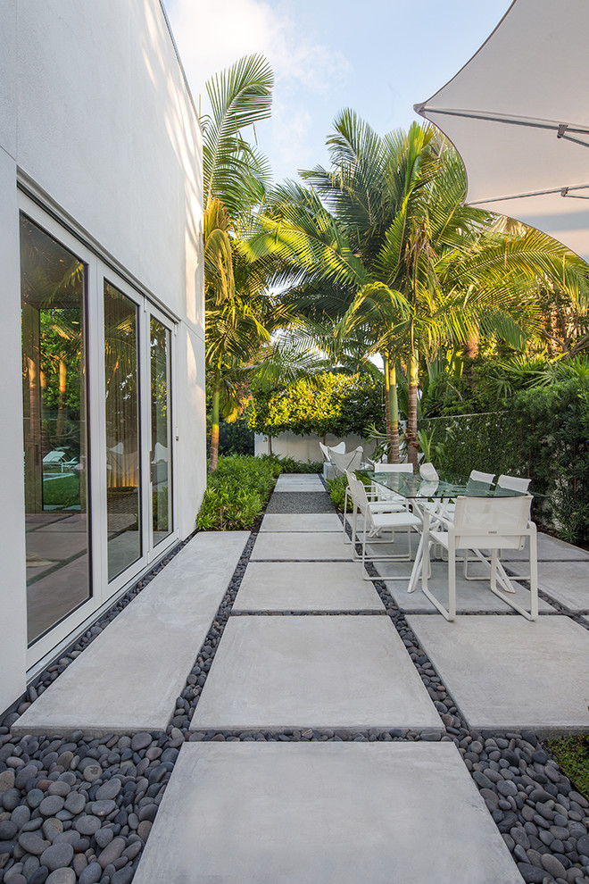 Cette photo montre un petit jardin moderne avec une exposition ensoleillée et des pavés en béton.