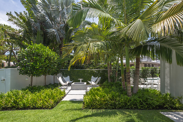 Tropical Minimal - Modern - Landscape - Miami - by Craig Reynolds Landscape  Architecture | Houzz