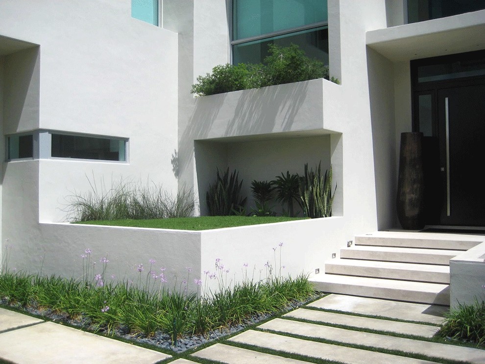 Design ideas for a modern garden in Miami.