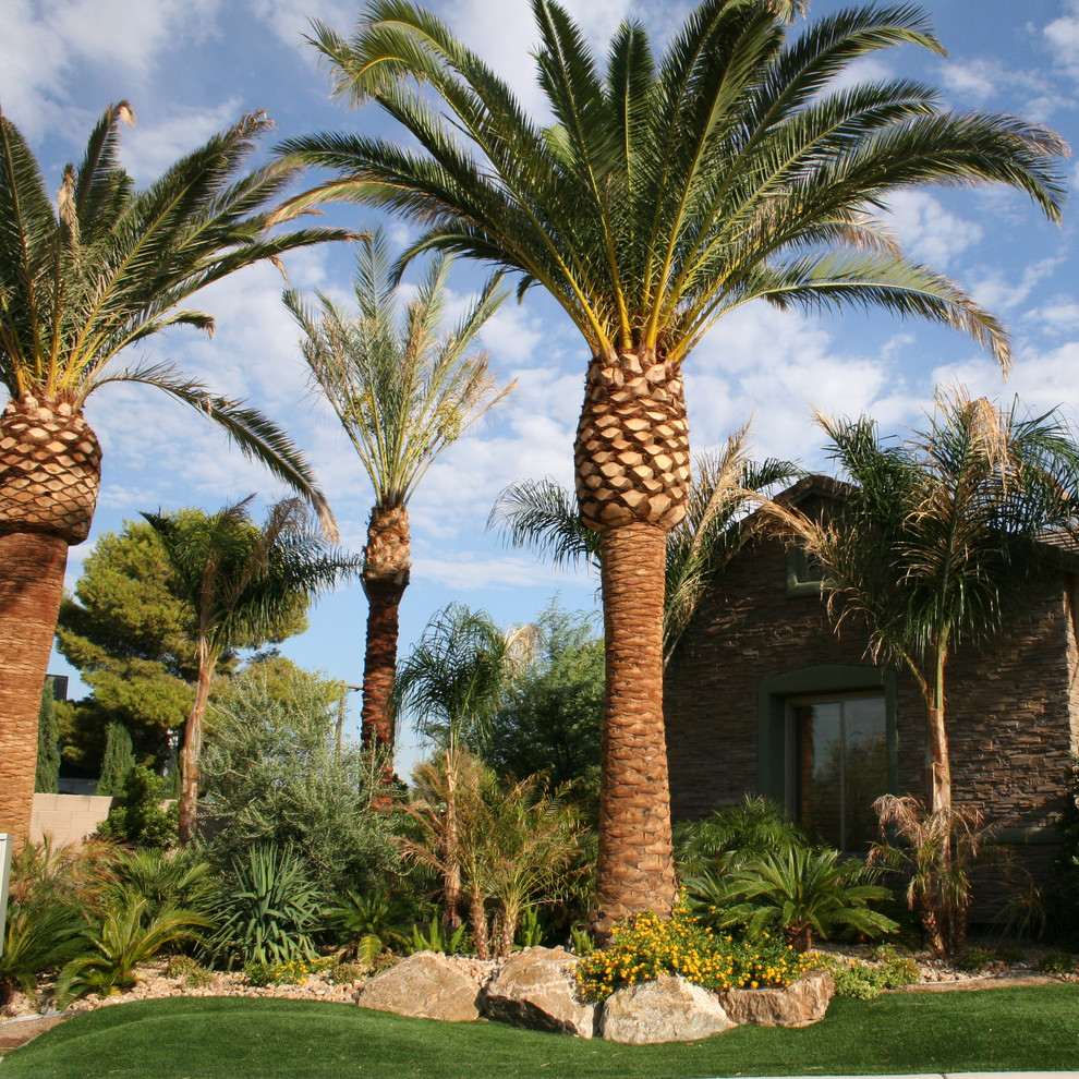 Tropical Oasis In Desert Tropical Landscape Las Vegas By Xl Landscape Development Houzz