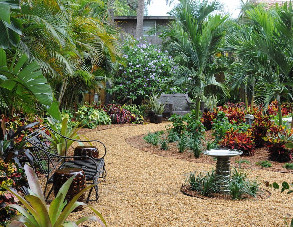 Esempio di un giardino tropicale esposto in pieno sole di medie dimensioni e dietro casa con ghiaia