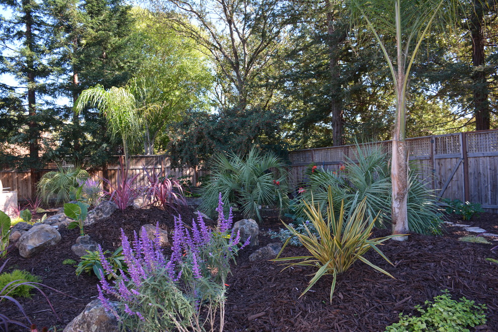 Tropical Paradise Tropical Landscape San Francisco by Manzanita