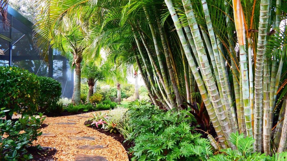 Immagine di un giardino tropicale di medie dimensioni e nel cortile laterale con pavimentazioni in pietra naturale